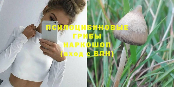 PSILOCYBIN Володарск